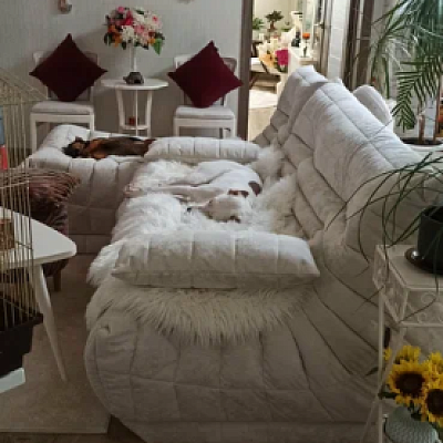 Фото бескаркасного дивана в современной гостиной. Отзыв покупателя с оценкой 5 из 5 звезд